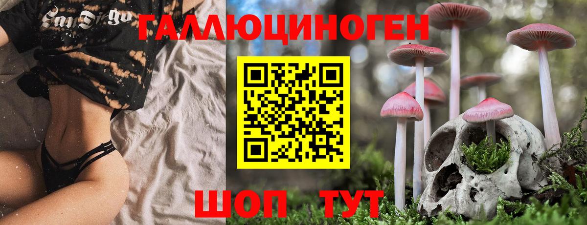 Псилоцибиновые грибы Psilocybe Ульяновск