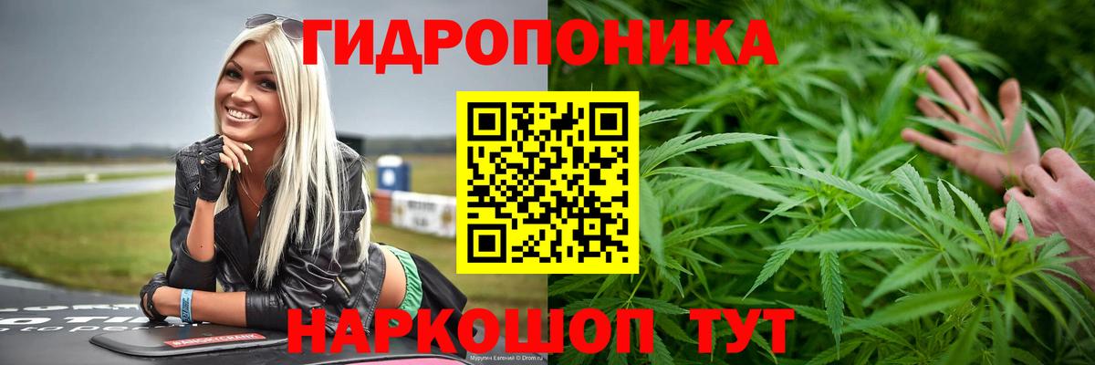 Бошки Шишки LSD WEED  Бошки марихуана AK-47  Ульяновск  МАРИХУАНА планчик  Марихуана Ganja  Вход с VPN 